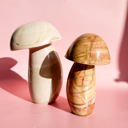 Polychrome Jasper Large Mushroom