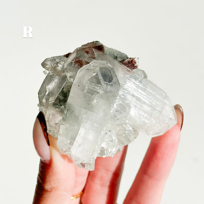 Apophyllite Cluster