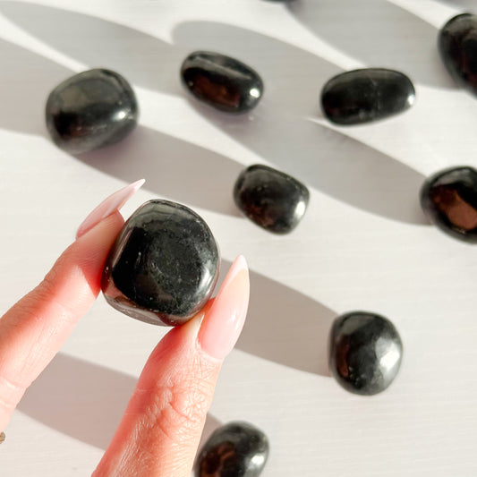 Shungite Tumble