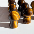 Load image into Gallery viewer, Tiger Eye Mushroom
