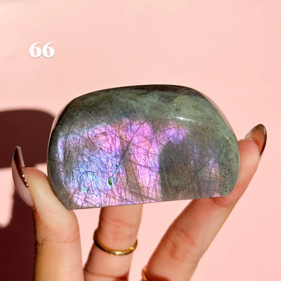 Labradorite Freeforms