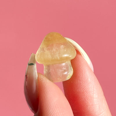 Fluorite Mini Mushroom