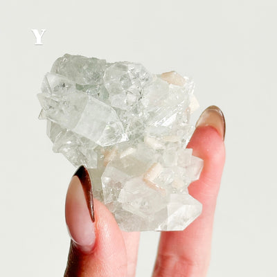 Apophyllite Cluster