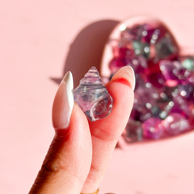 Fluorite Mini Seashell