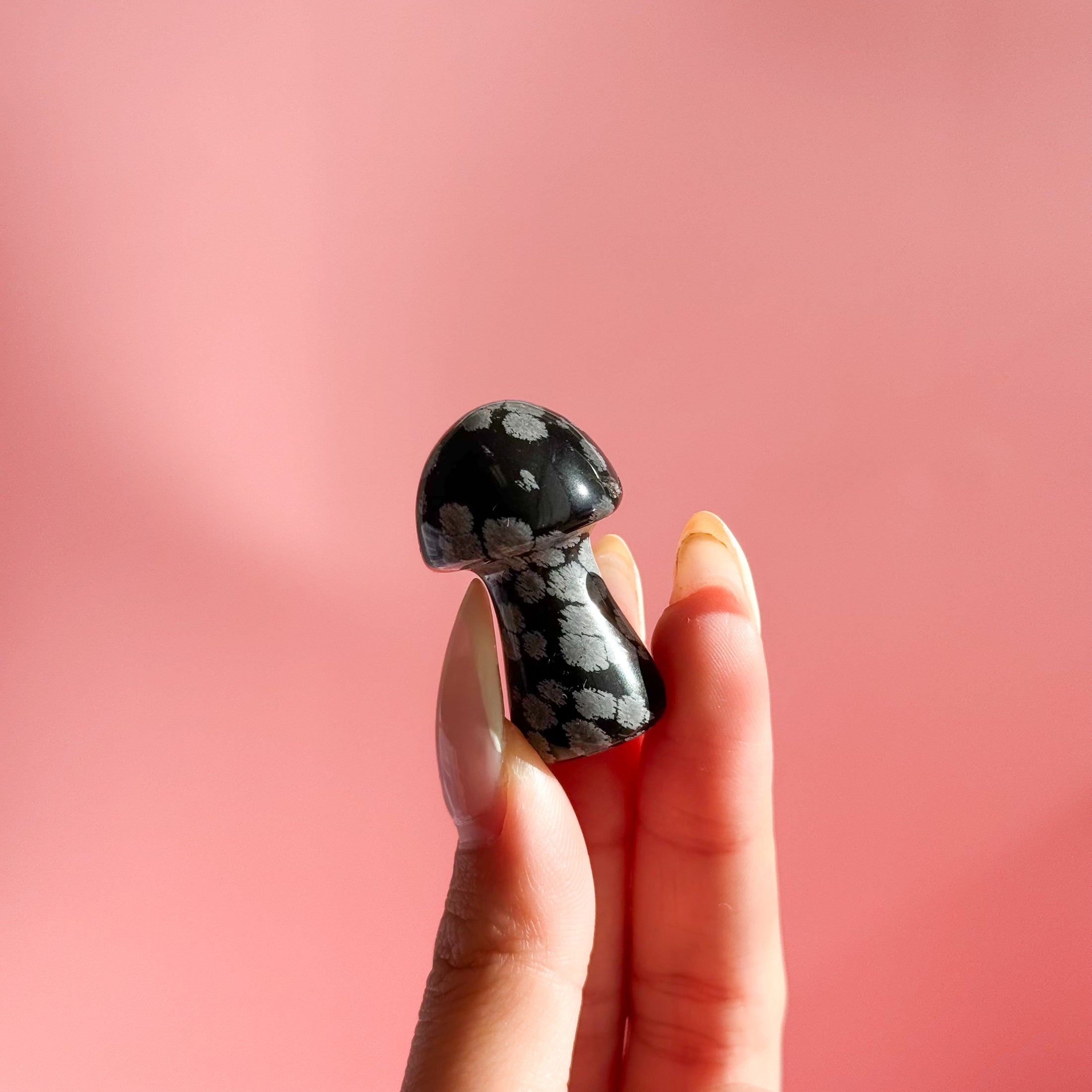 Snowflake Obsidian Mushroom