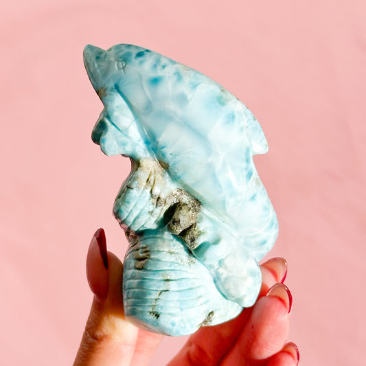 Larimar Dolphin