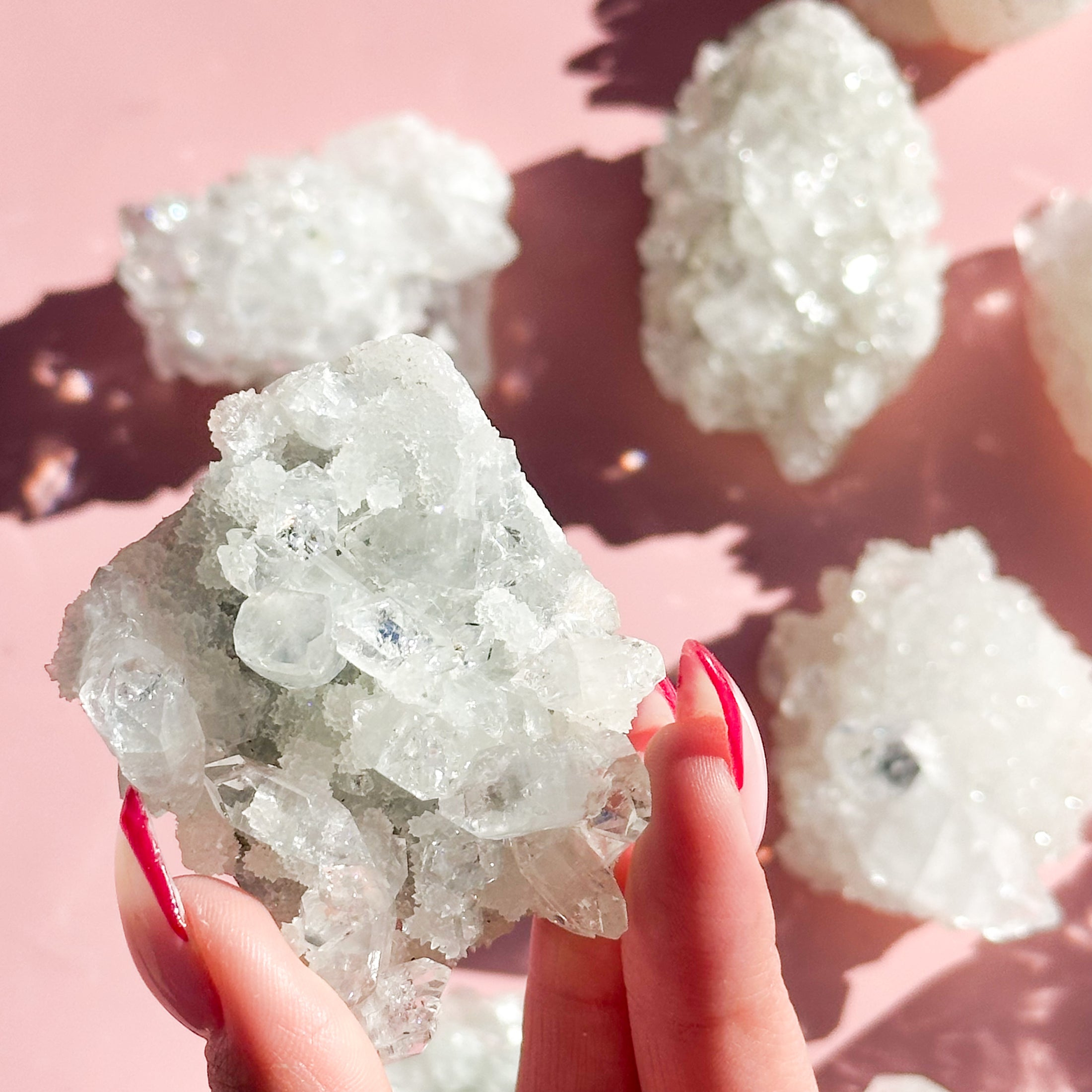Fingers with red nails hold a white apophyllite cluster in the center of the image, with four clusters out of focus on the right-hand side of the screen on a pink background. 