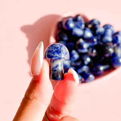 Sodalite Mushroom