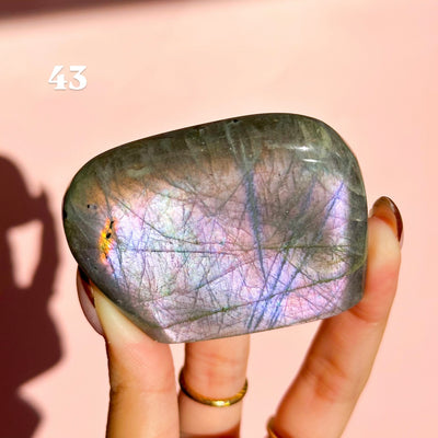 Labradorite Freeforms