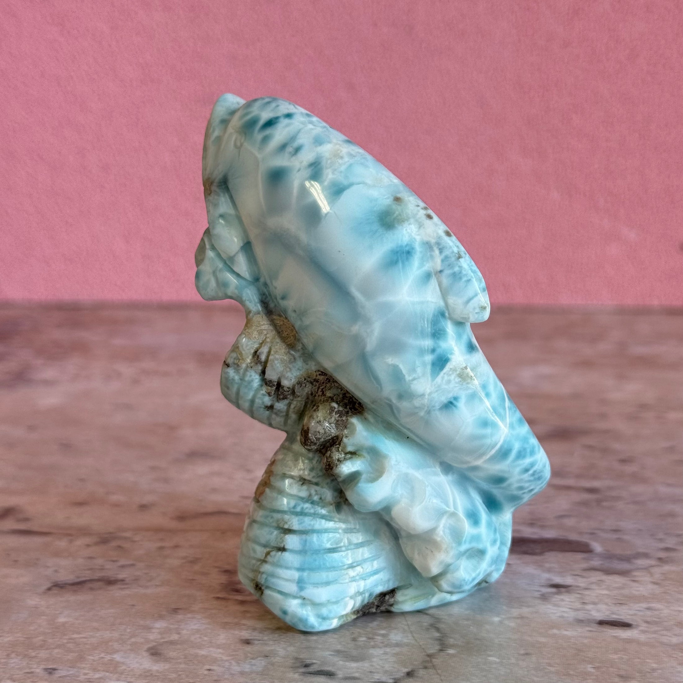 Larimar Dolphin
