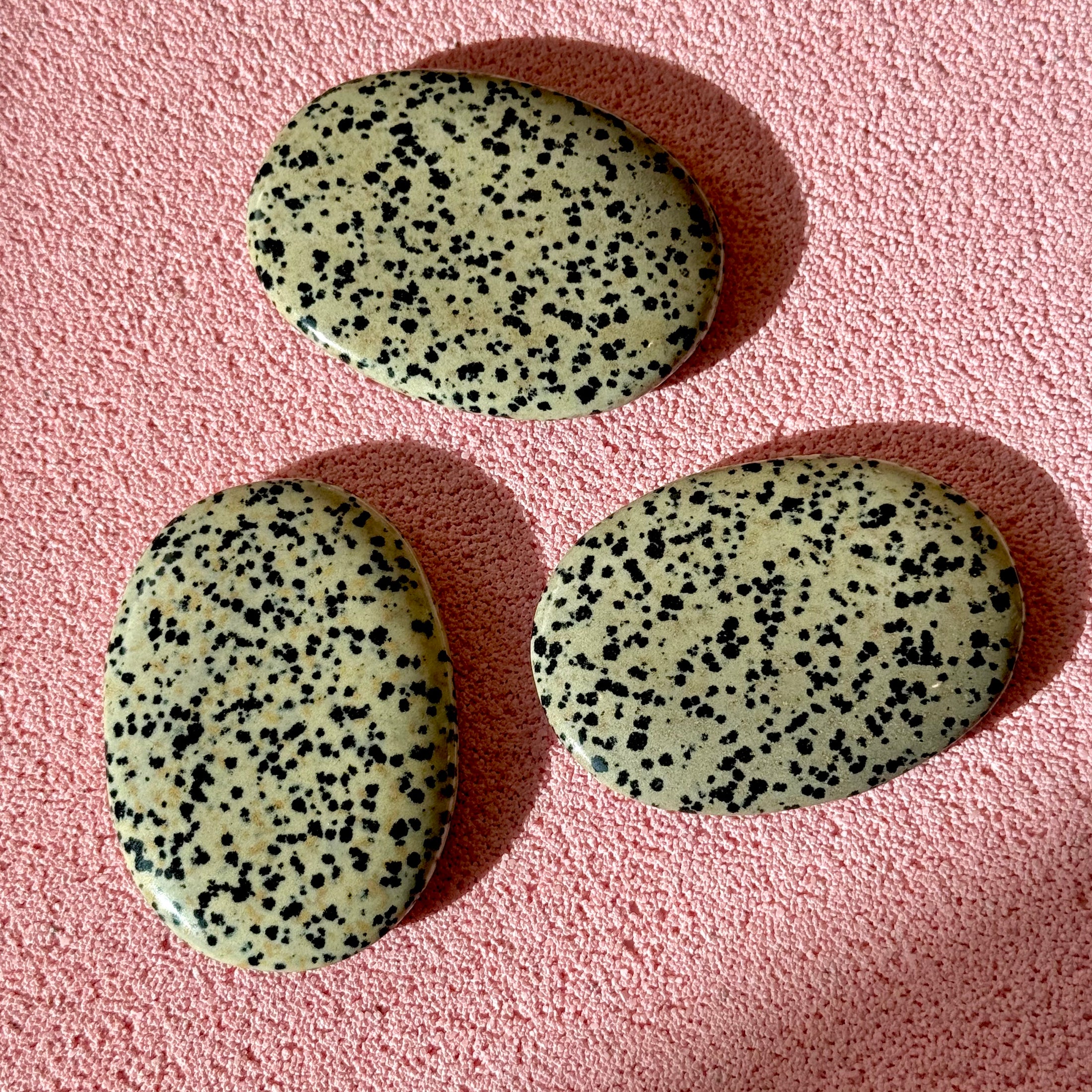 Dalmatian Jasper Palmstone