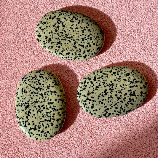 Dalmatian Jasper Palmstone
