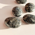 Load image into Gallery viewer, Larvakite Palmstone
