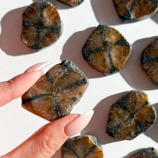Chiastolite Slice