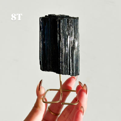 Black Tourmaline on Stand