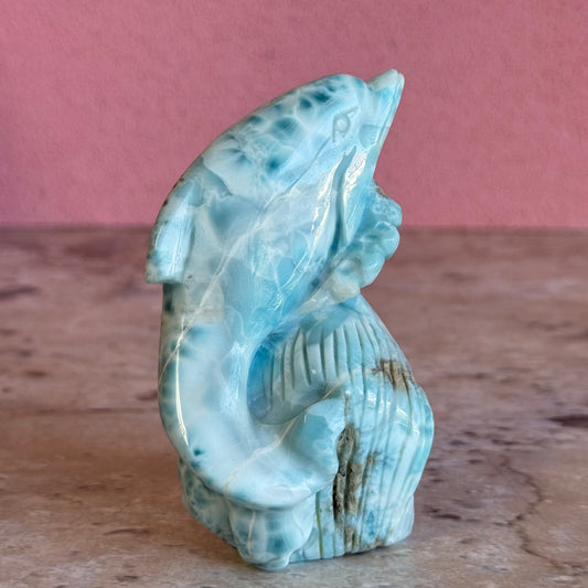 Larimar Dolphin