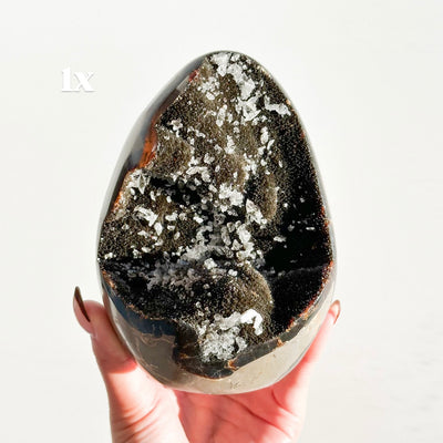 Septarian Nodule Freeforms