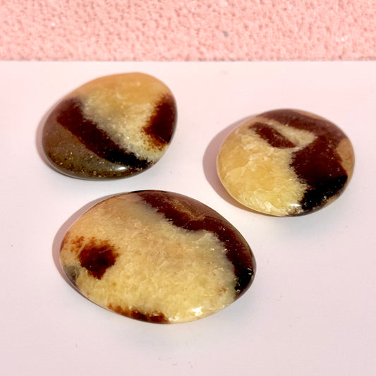 Septarian Flat Stone