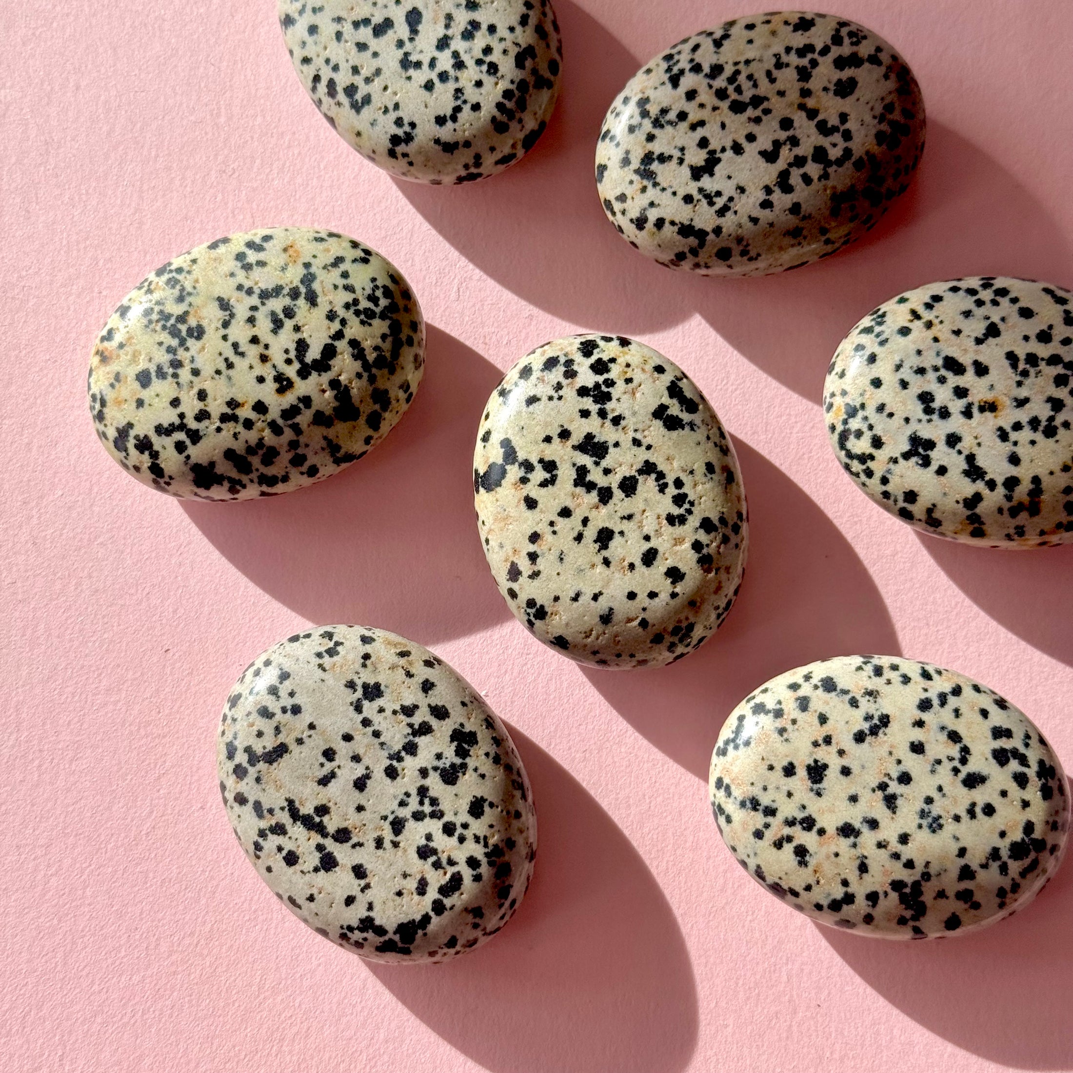 Dalmatian Jasper Small Palmstone