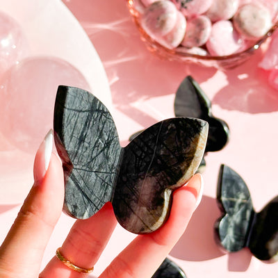 Picasso Jasper Butterfly