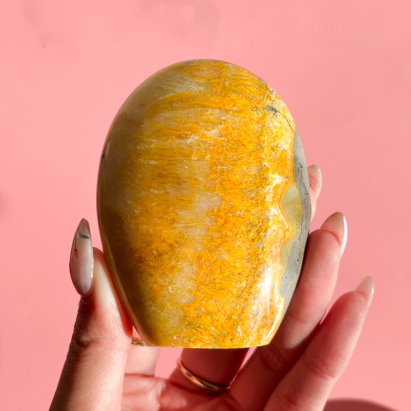 Bumblebee Jasper Freeform