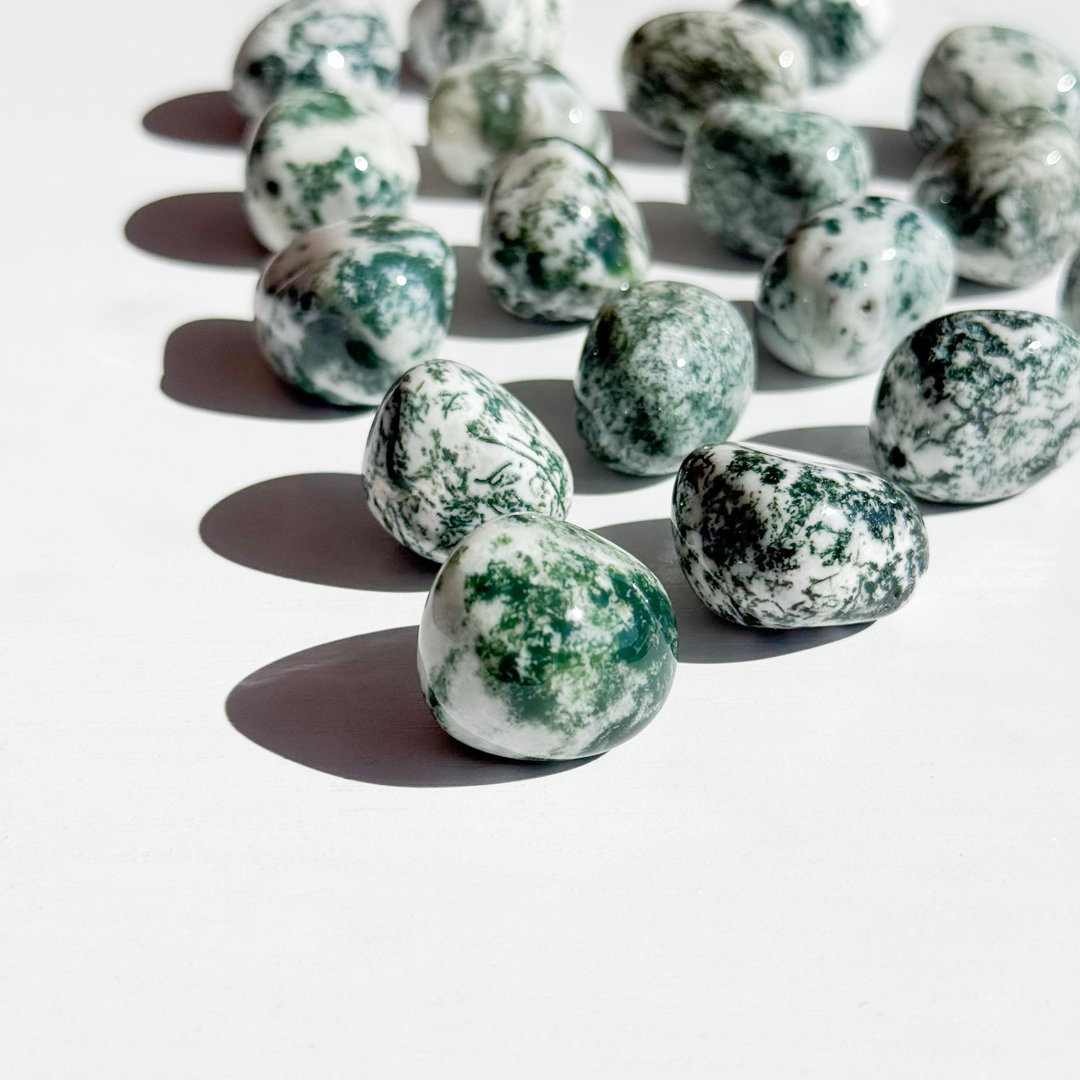 Tree Agate Tumble