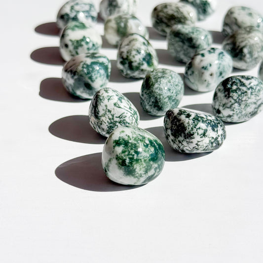 Tree Agate Tumble