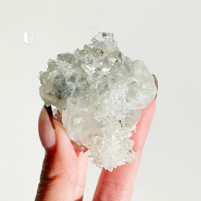 Apophyllite Cluster