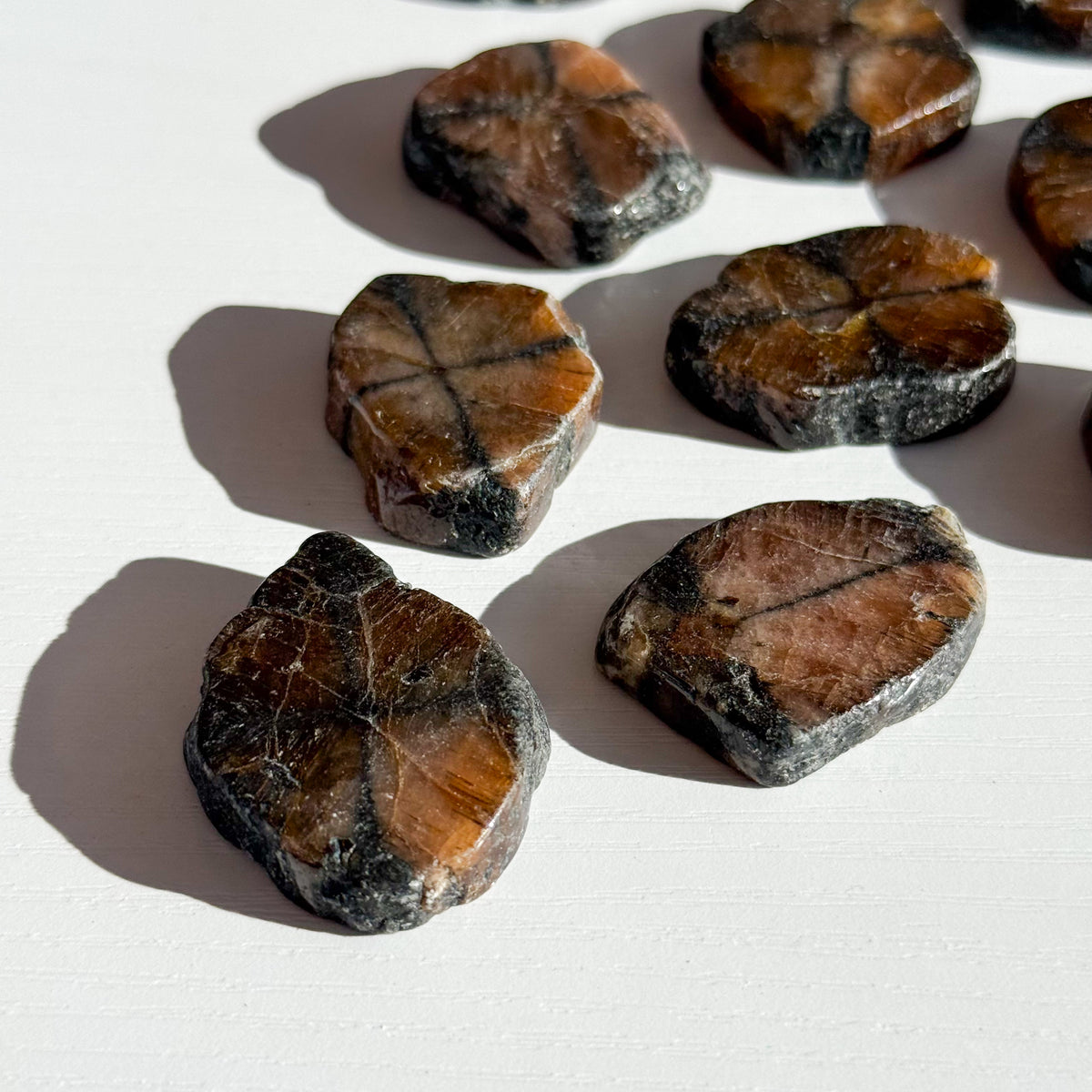 Chiastolite Slice