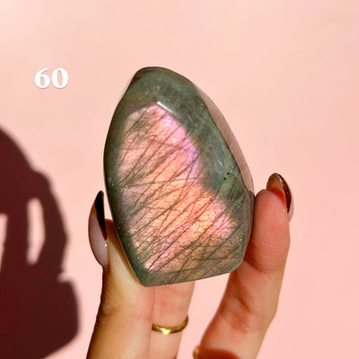 Labradorite Freeforms