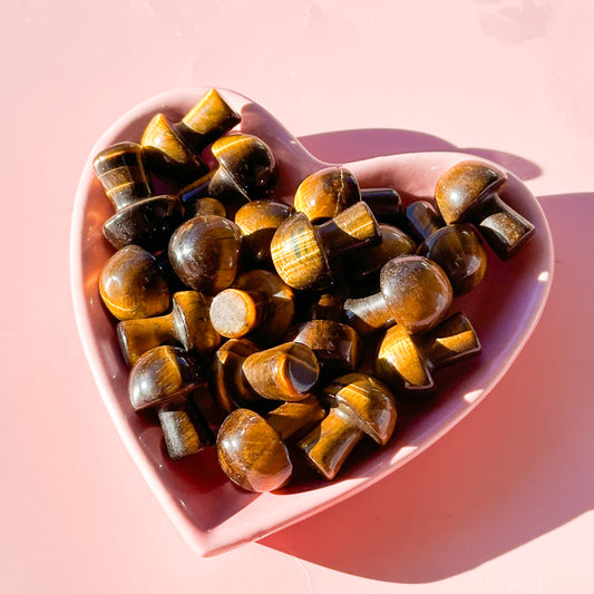 Tiger Eye Mushroom