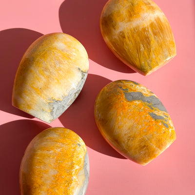 Bumblebee Jasper Freeform