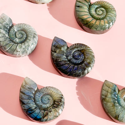 Labradorite Seashell