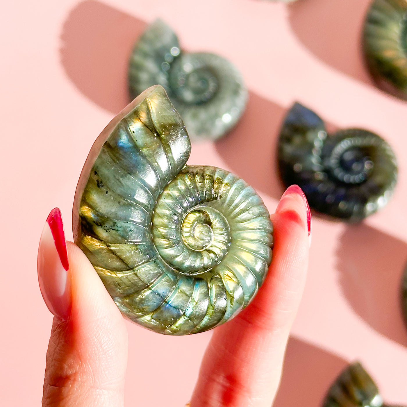 Labradorite Seashell