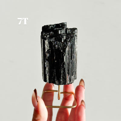 Black Tourmaline on Stand