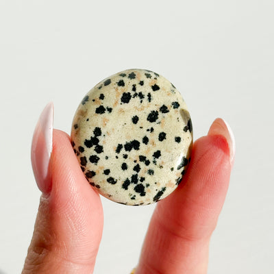 Dalmatian Jasper Mini Flat Stone