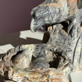Load image into Gallery viewer, Picasso Jasper Birds
