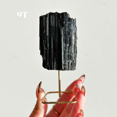 Black Tourmaline on Stand