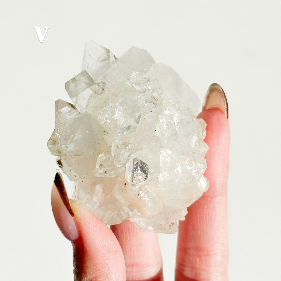 Apophyllite Cluster