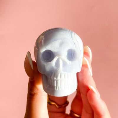 Blue Lace Agate Skull