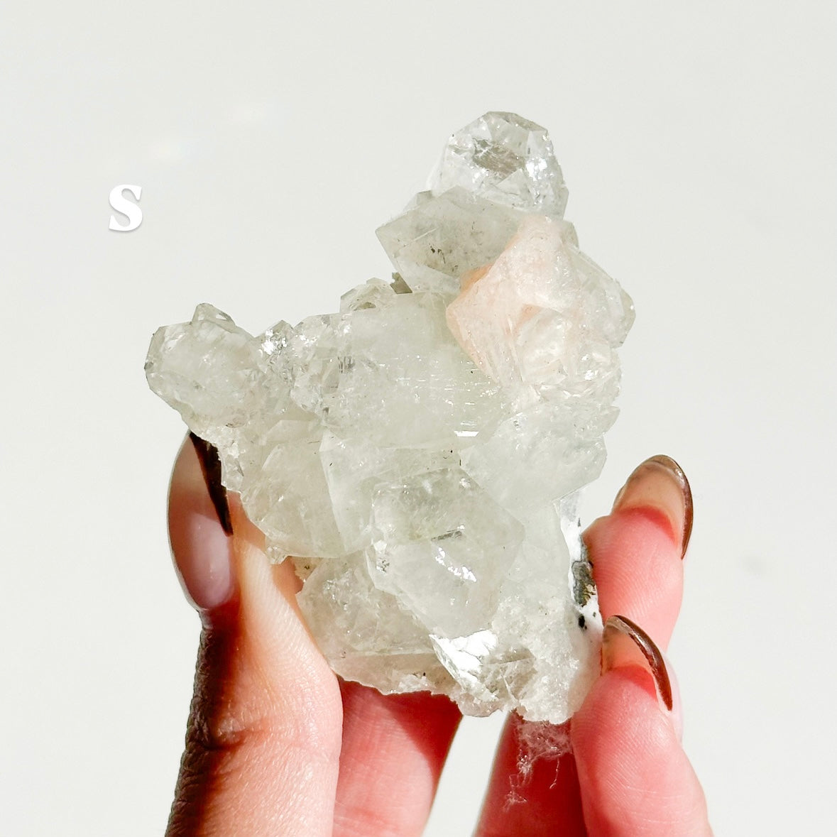 Apophyllite Cluster