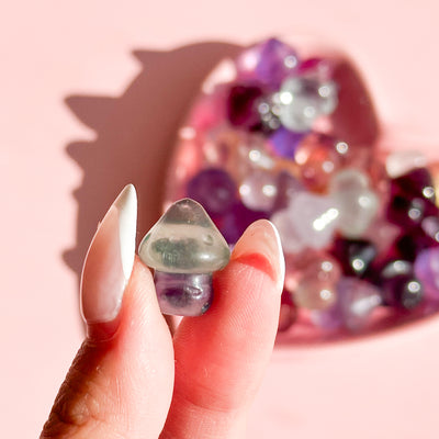 Fluorite Mini Mushroom