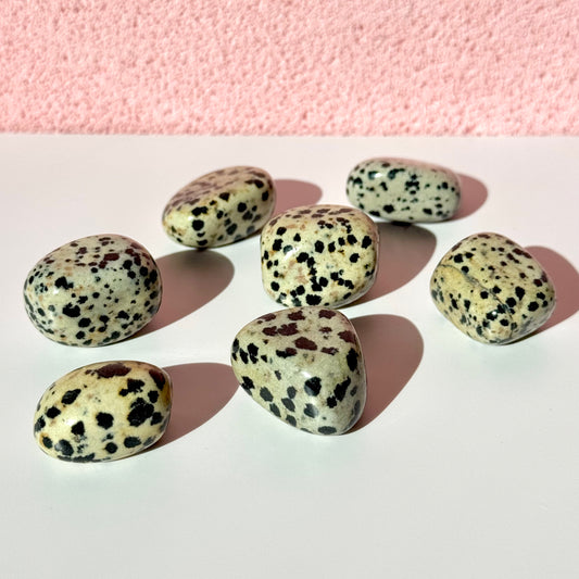 Dalmatian Jasper Tumble