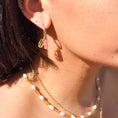 Load image into Gallery viewer, Charm Earings
