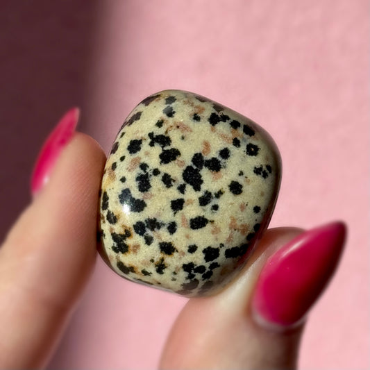 Dalmatian Jasper Tumble
