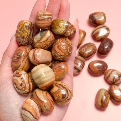 Red Picture Jasper Tumble