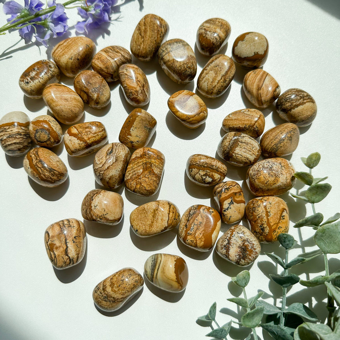 Picture Jasper Tumble