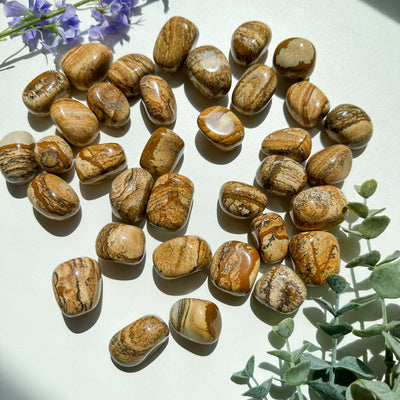 Picture Jasper Tumble