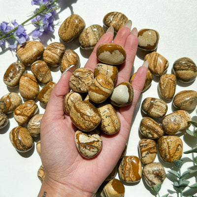 Picture Jasper Tumble