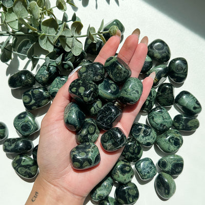 Kambaba Jasper Tumble